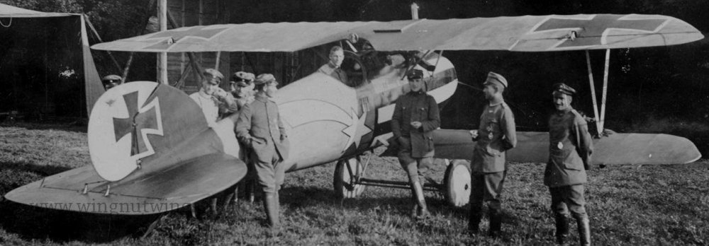 Albatros D.V Hans Auer - Jasta 32b (AL0177-01).jpg