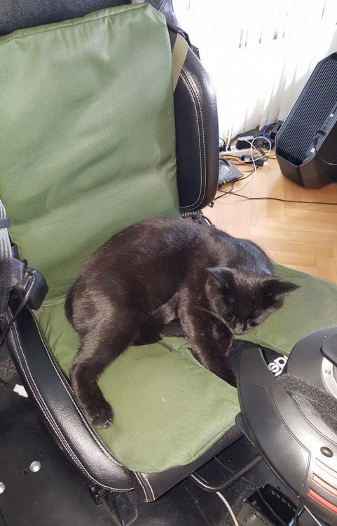 platform seat with jetseat & cat.jpg