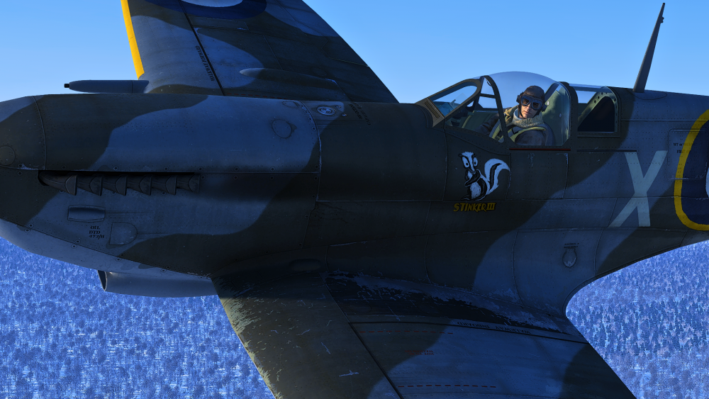 Spitfire Pilot.png