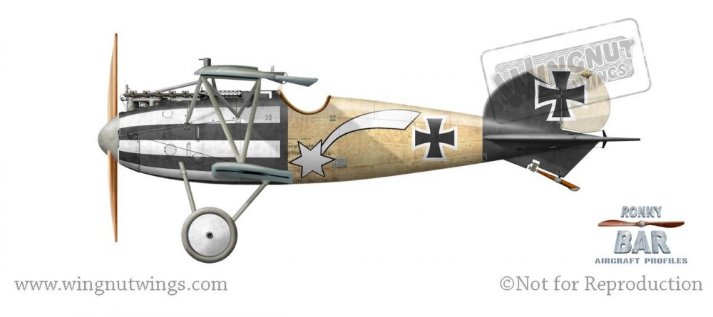 Albatros D.V, Hans Auer, Jasta 32b, September 1917 (5 victories).jpg