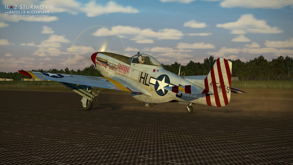 P-51_1.thumb.jpg.75cd62e2dfaabb331c0e46e54b4f56d7.jpg