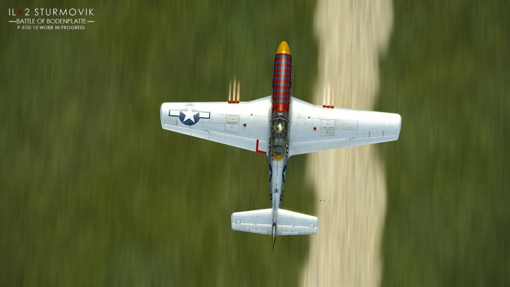 P-51_4.thumb.jpg.06a0232b9cf112e08c191a3486d77a72.jpg
