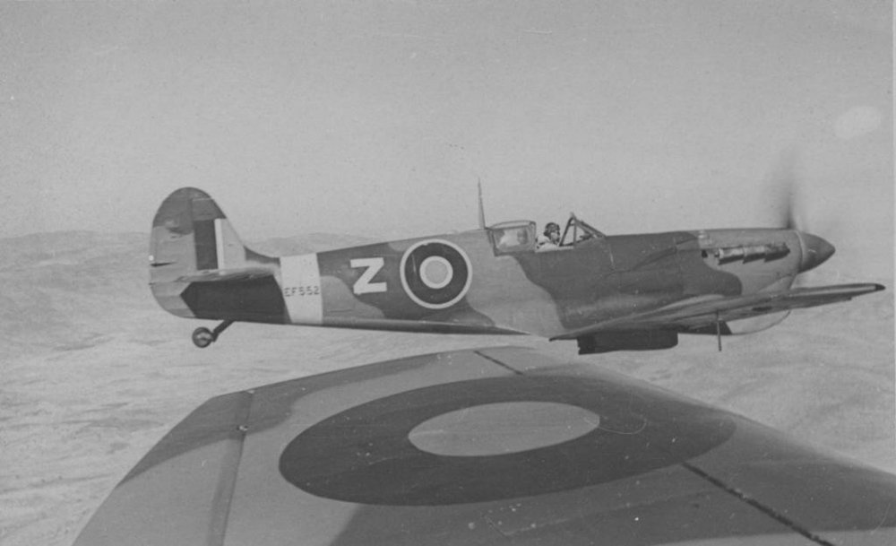 Spitfire-MkVcTrop-SAAF-Z-EF552-01.thumb.jpg.8ff6eddddd0ace3c29abd604a844d50c.jpg