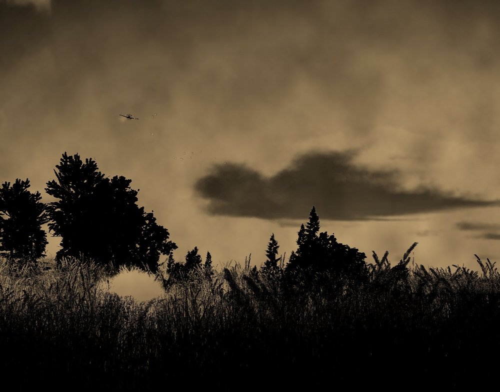 Photographing your Death.jpg