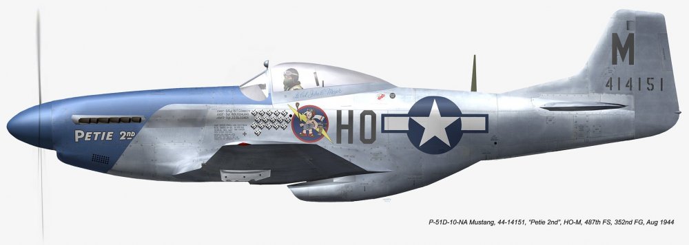 P-51 Petie 2nd.jpg