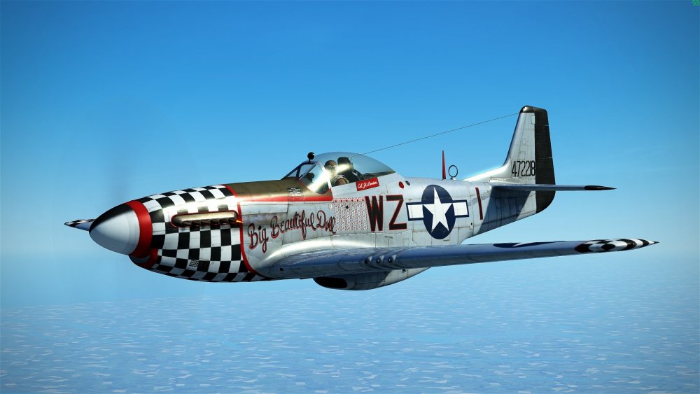 BIG AND BEAUTIFULL.jpg