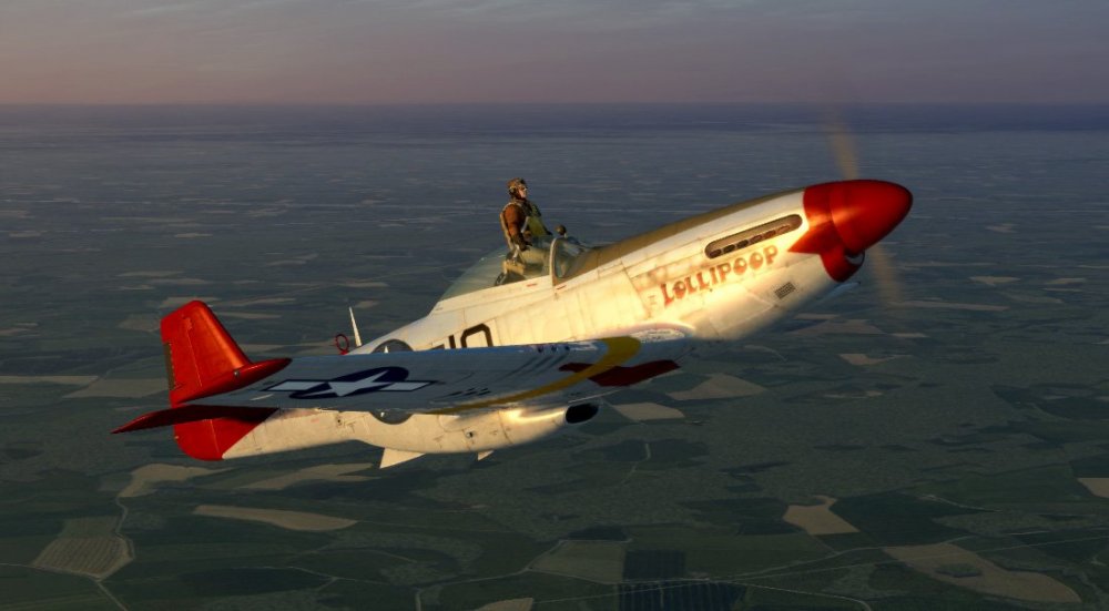 P51 bug.jpg