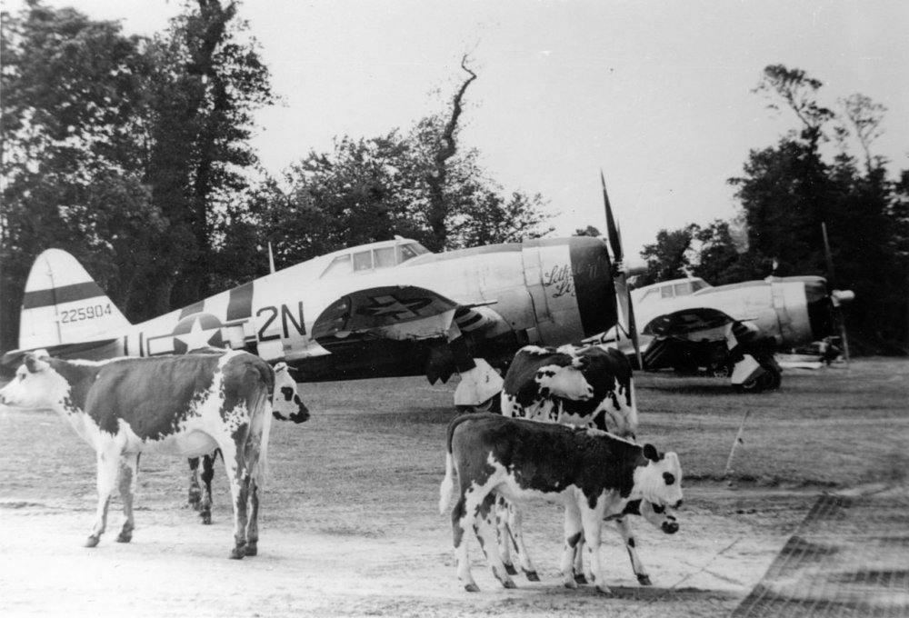 50th_Fighter_Group_P-47_Thunderbolts.jpg