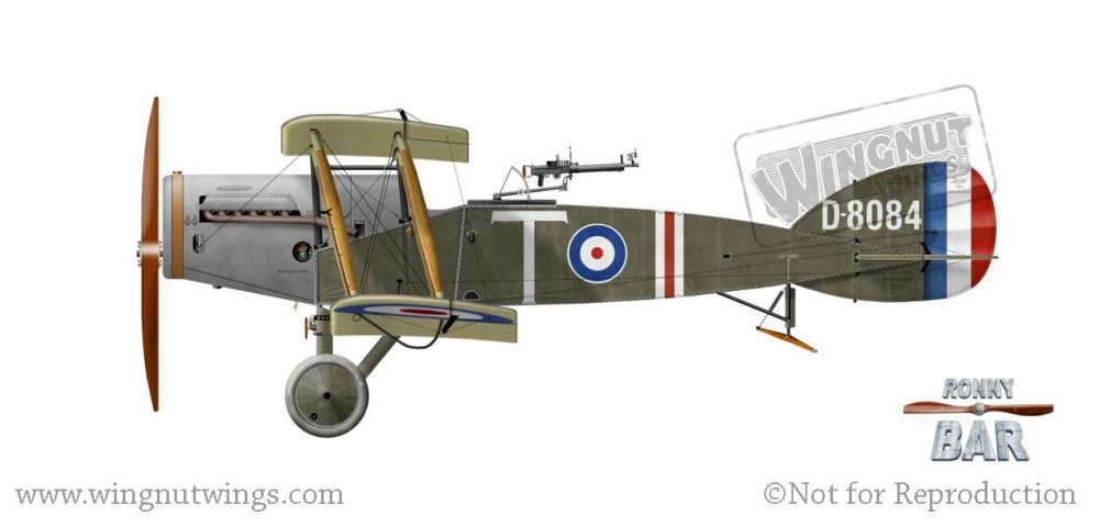 D8084 'T', Z Flight 34 Sqn, Italy, early 1918.jpg