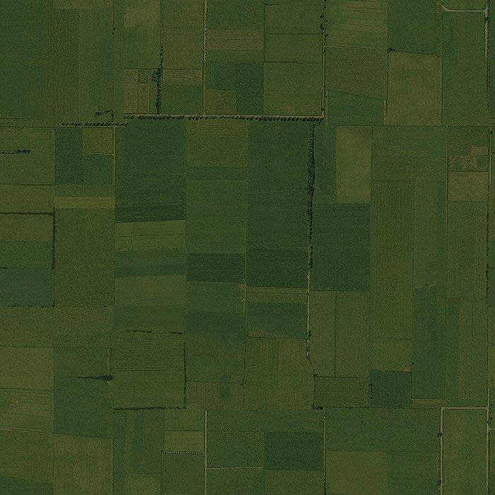 Nos_08_fields.jpg.fae784ae39f8175ef2b366b9e19003e2.jpg