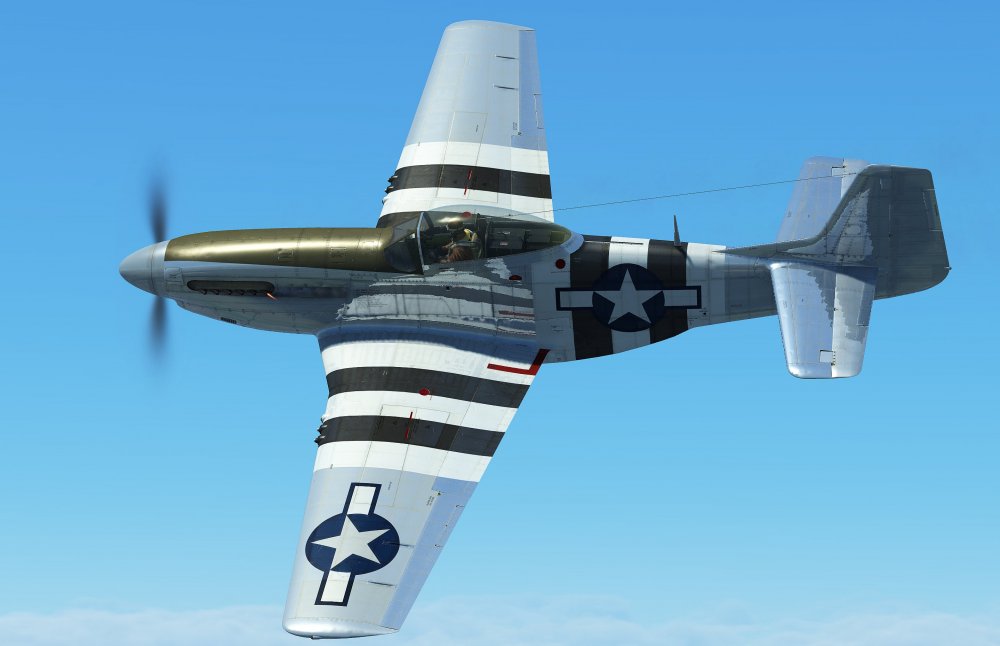 Warbird.thumb.jpg.9d3de48453f5d1b6dc1c4795adf40edd.jpg
