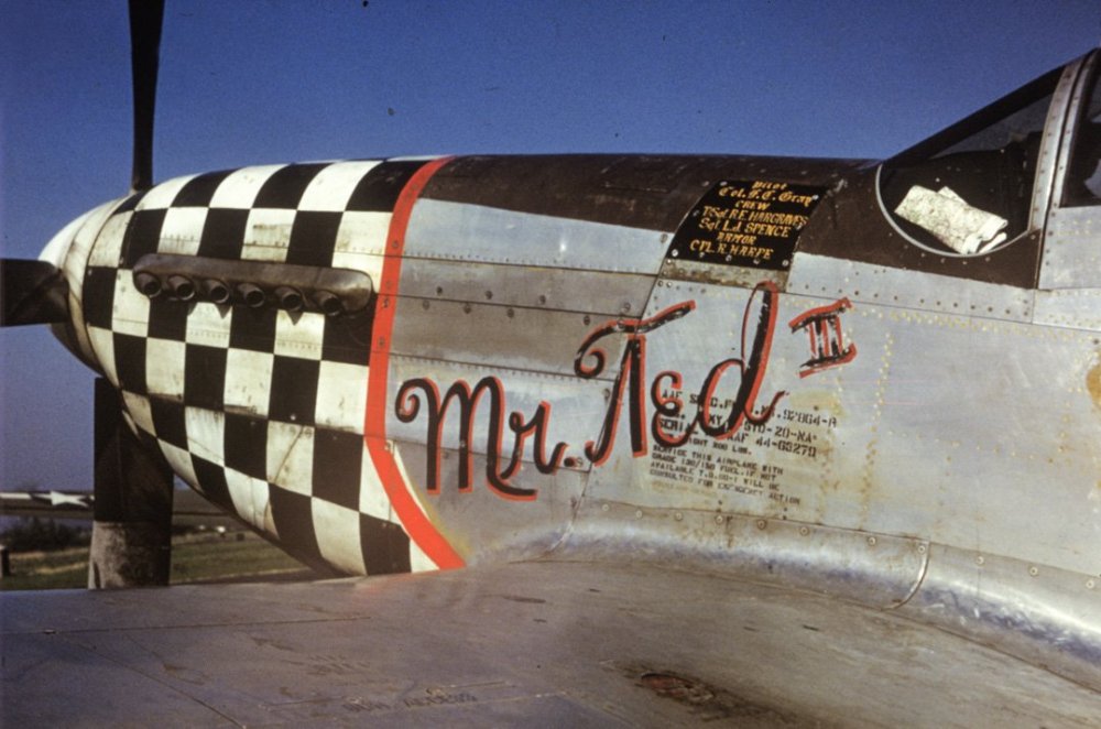 p-51d-mr-ted-III-44-63279.thumb.jpg.5bfd221dbe18b25594fdc1782b7072cc.jpg
