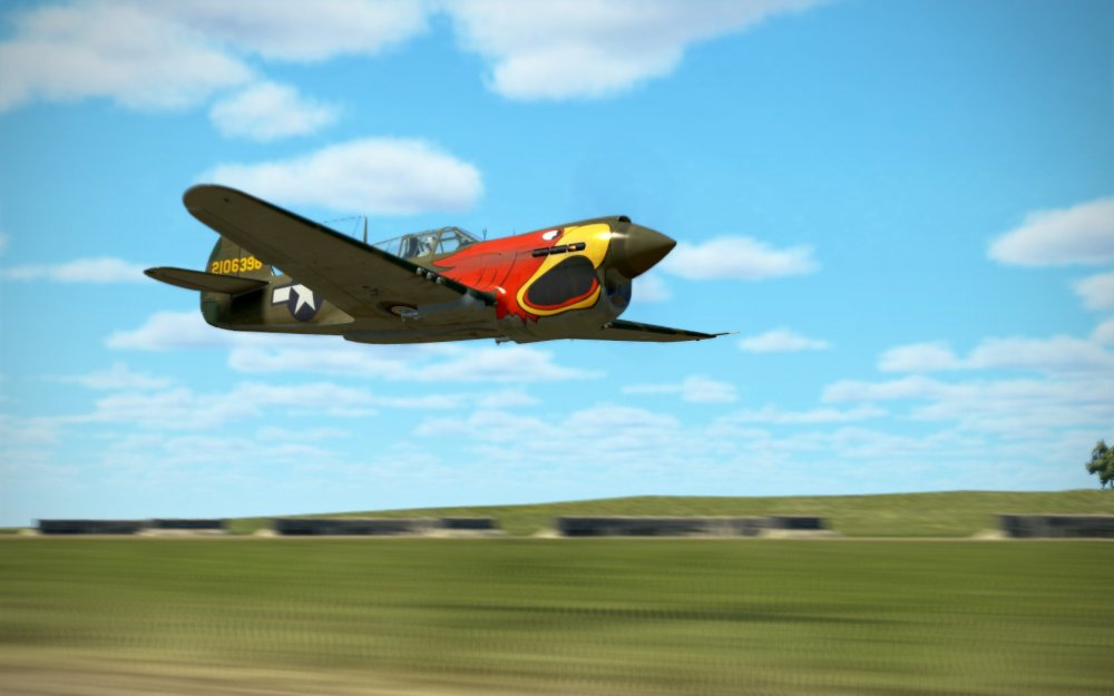 p40parrot.thumb.jpg.3a0daf08bfe20a168571cc8d39aa4a7a.jpg