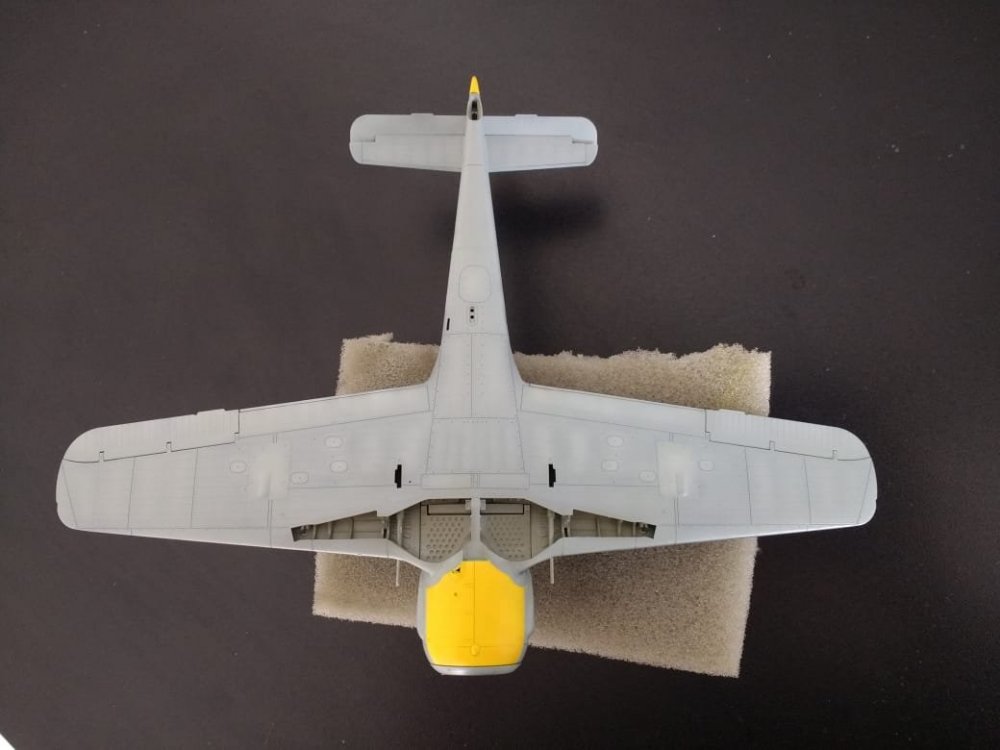 WhatsApp Image 2019-11-30 at 12.24.14.jpeg