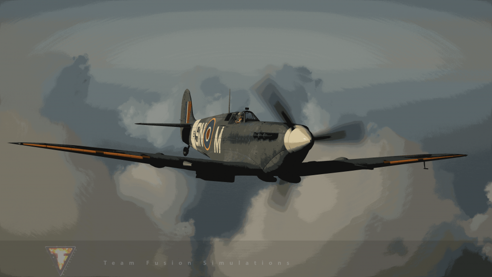 TFS 5.0  Spitfire Mk Vb of No 243 Sqn SN-M EN821 .png