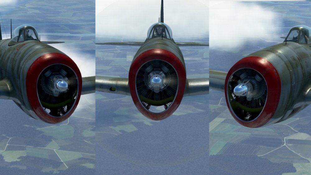P47 bug.jpg
