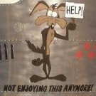 Wile-E-Coyote