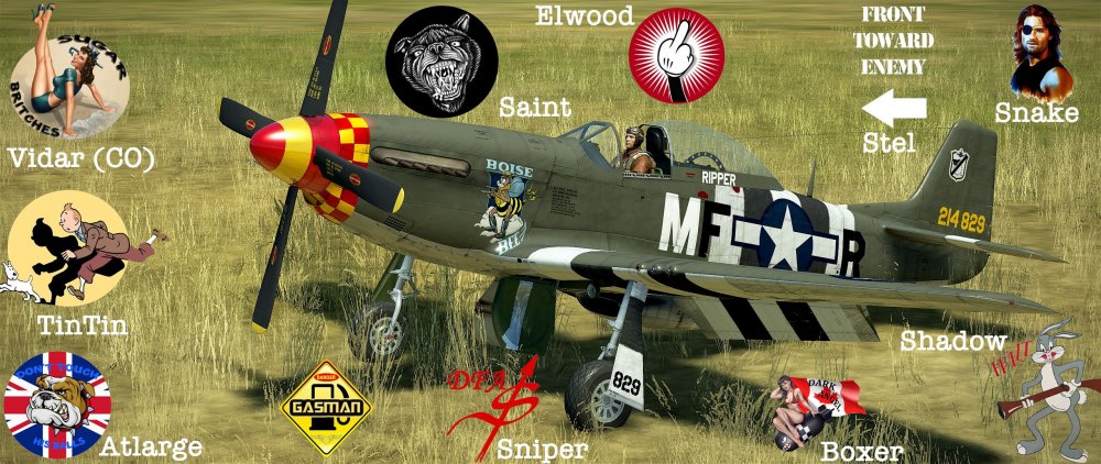 P-51-Squad.jpg