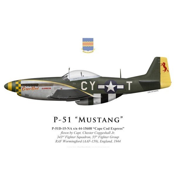 p-51d-mustang-cape-cod-express-capt-chester-coggeshall-jr-343rd-fighter-squadron-55th-fighter-group-1944.jpg.85a3732a9f490f4289f65cf34325b25e.jpg