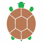 tortugapower