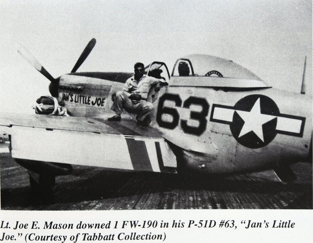 119070071_P-51Dfn63fbLtJoeEMasonnoseart-JansLittleJoe-.thumb.jpg.0455b441819c36e7dd4623b99ba9286e.jpg