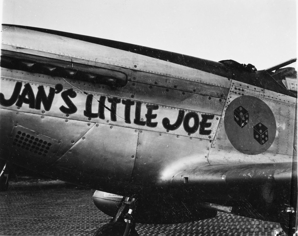 1744368635_P-51Dofthe318thFS-noseartJansLittleJoe-PilotLtJoeMason-FuselageNumber63-SerialNumber-44-15634.thumb.jpg.72b11f3b572d32e85de3c3698e7394bd.jpg