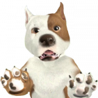 DishDoggie