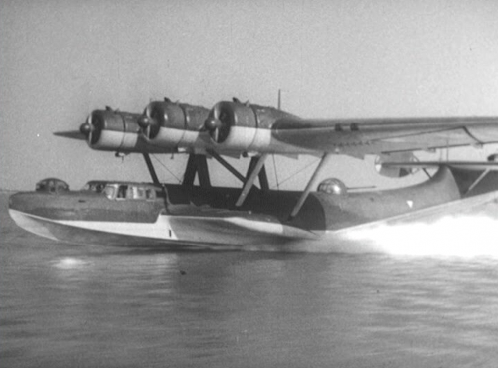Dornier 24.png