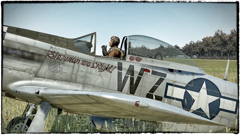 1781520741_ShermanWasRight2_Snapseed.thumb.jpg.87ab04a1b6960e675f39e61eac08b8c0.jpg
