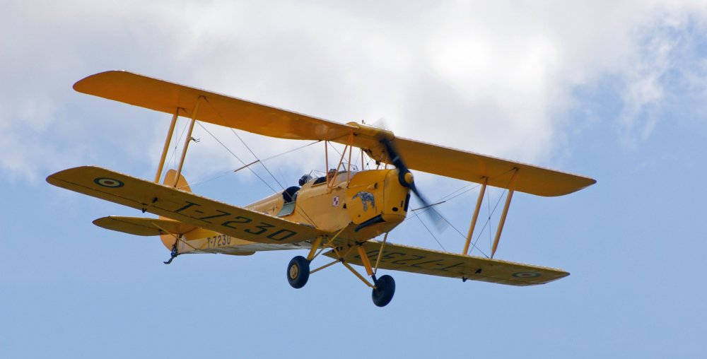 Yellow_Tiger_Moth_Góraszka.jpg