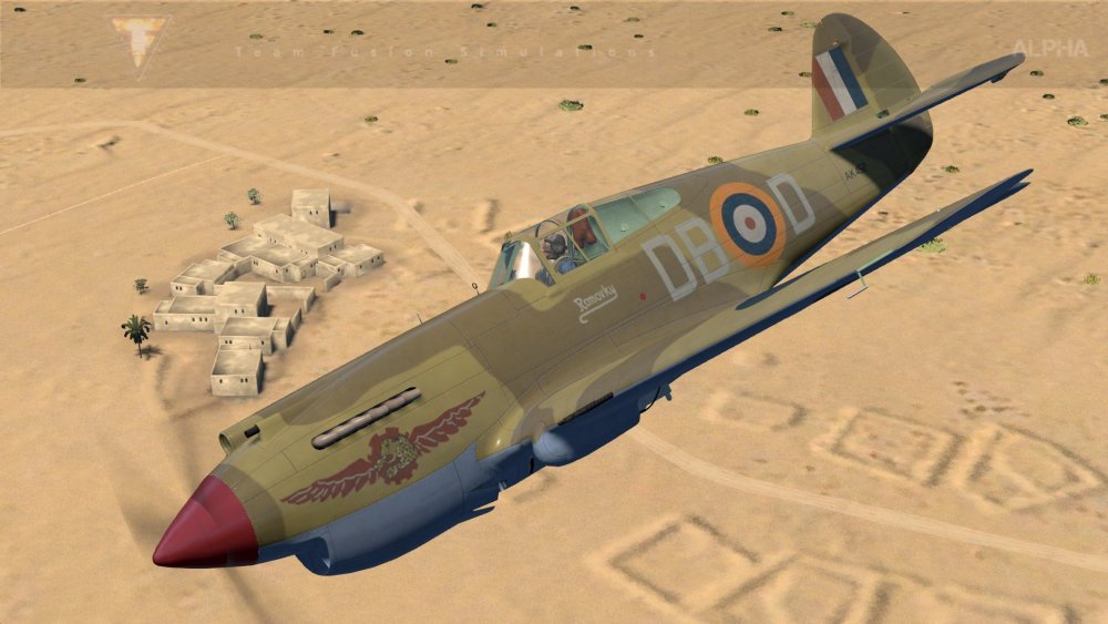 Tomahawk MkII FO Aitken 2Sqn SAAF Libya end of 1941 (3).jpg
