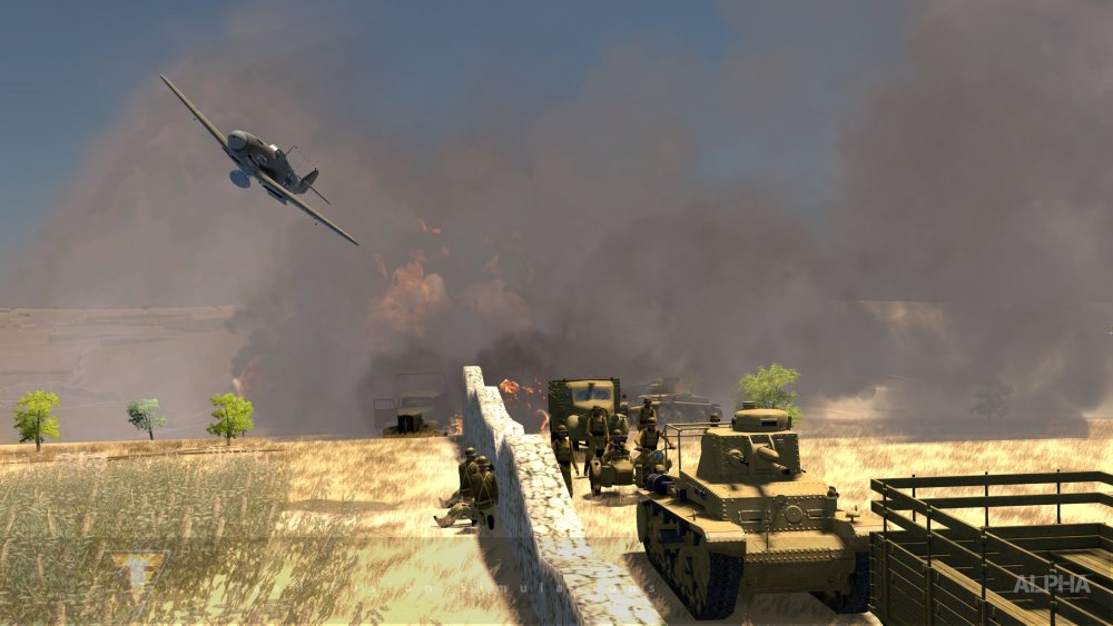 Spitirus pic 10 Feb 2020 1.jpg