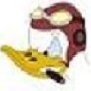 352ndDuckman