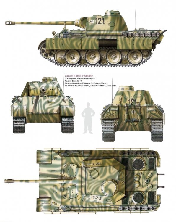 pantherVdcamo.jpg