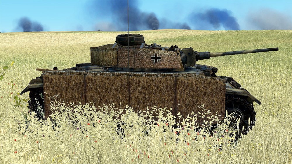 7# Sonnenblume 6.jpg