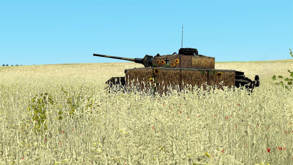 7# Sonnenblume 1.jpg