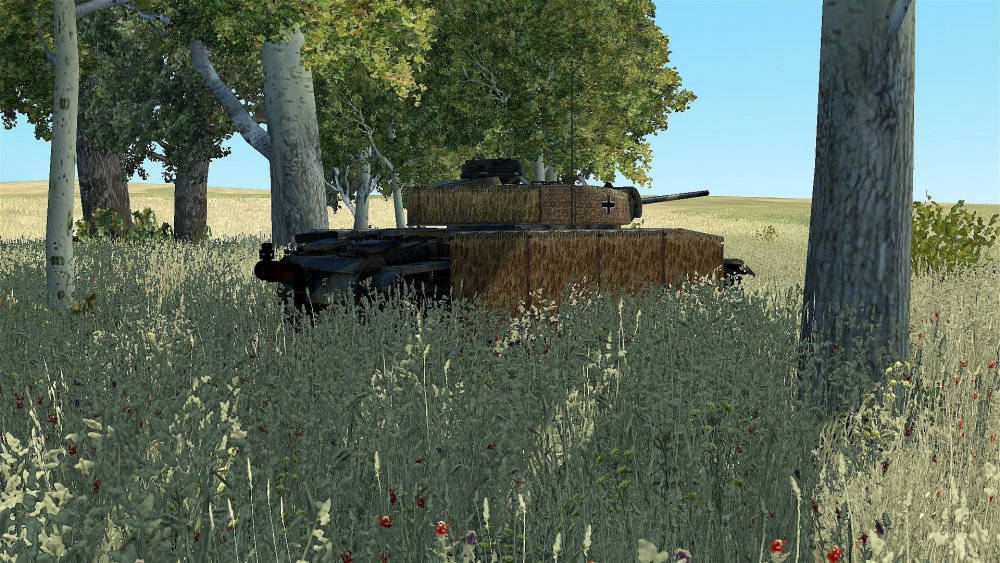 7# Sonnenblume 5.jpg