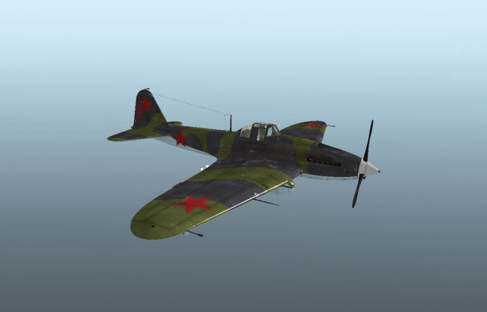 Il1-M41 summerskin.JPG