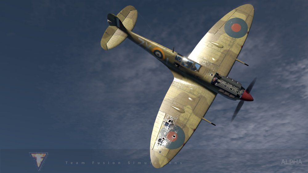 Spitfire Vb Tropical damage.jpg