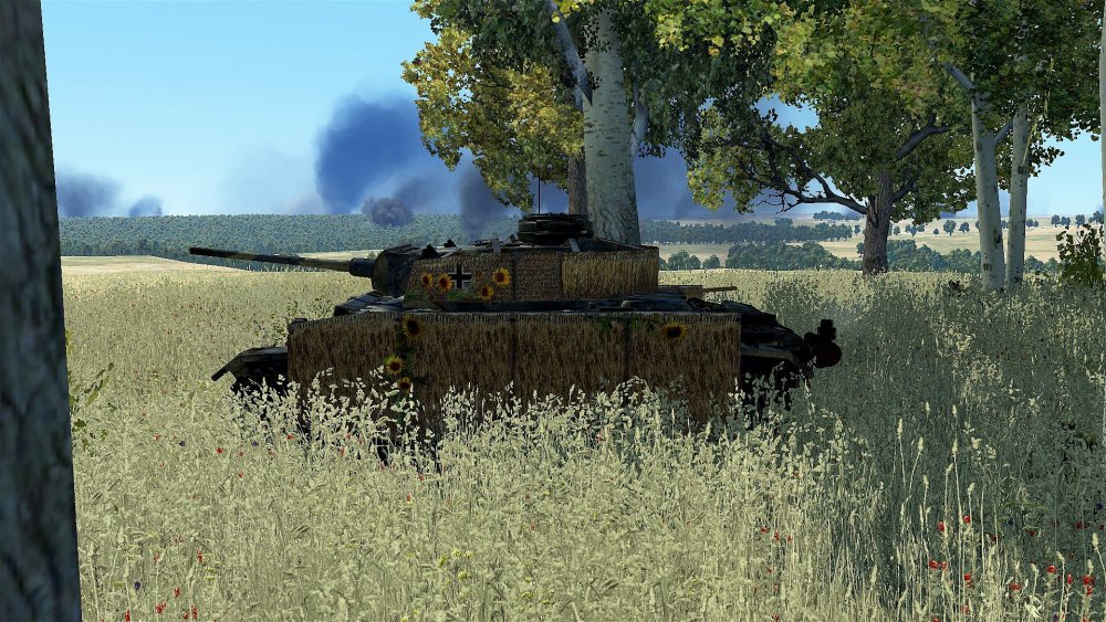 7# Sonnenblume 3.jpg