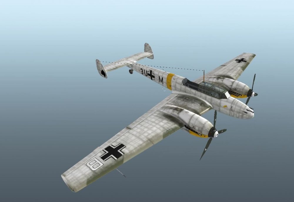 Bf110E-2 wintnerskin.JPG