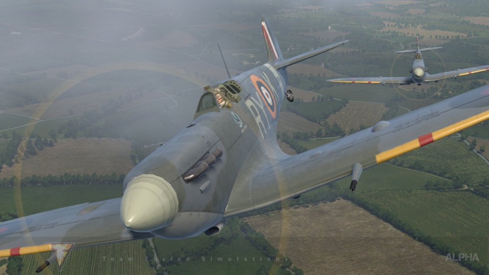 TFS Spit Vb RYK Cat on Blue 02s06.jpg