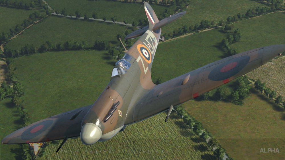 TFS Spit IIb ZUZ 1s02.jpg