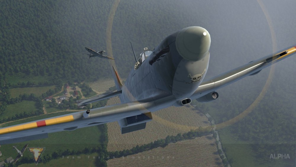 TFS Spit Vb Skull XRQ 05s05.jpg