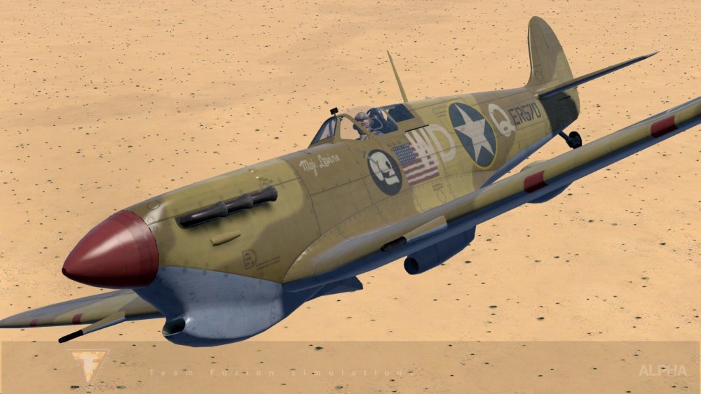 TFS Spit VB Trop Skull Flag WDQ 4s.jpg