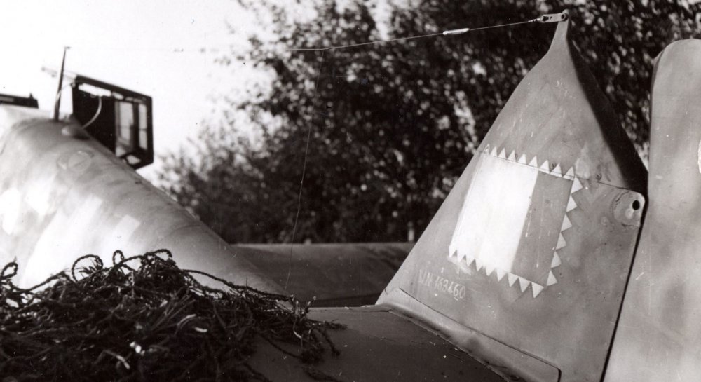 A.N.R. Bianco 6 WN163460.jpg