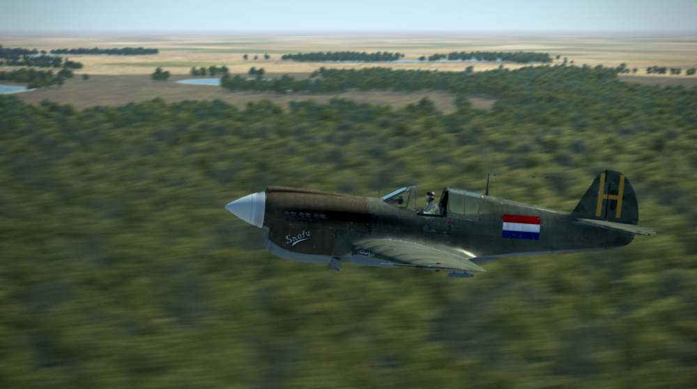P-40 Snafu low.png