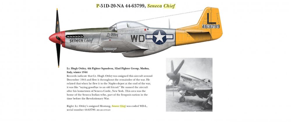 SENECA CHIEF.jpg