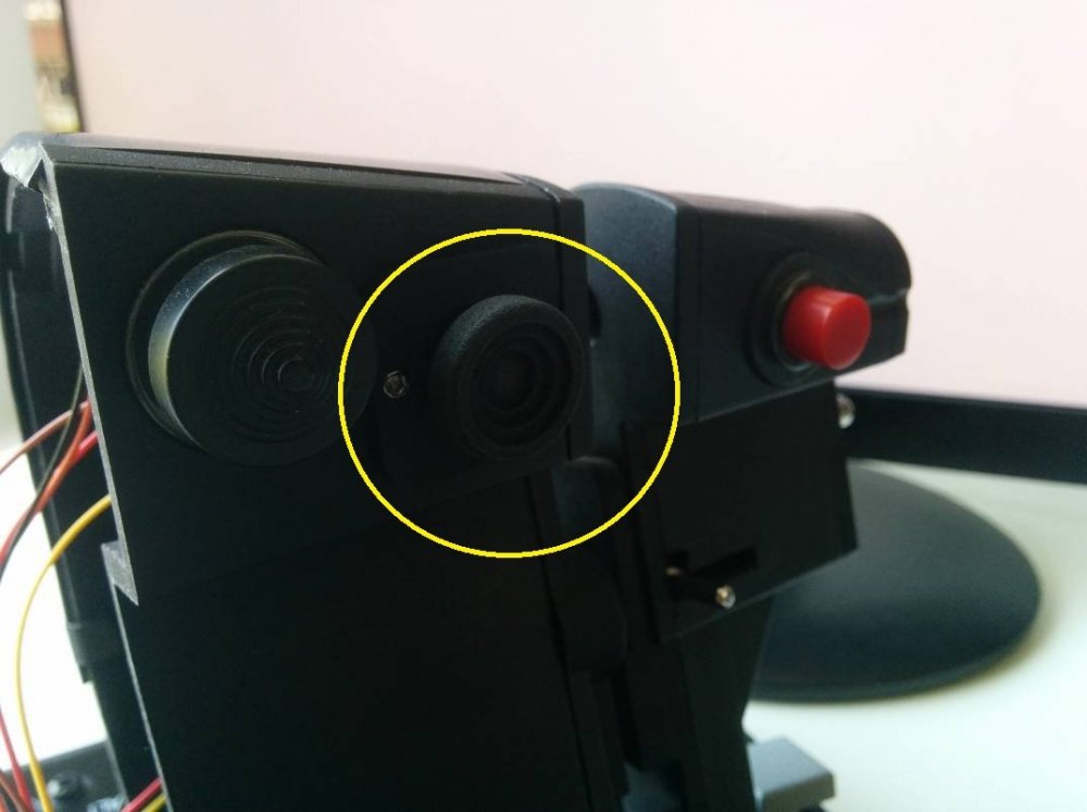 Deltasim Thumbstick.jpg