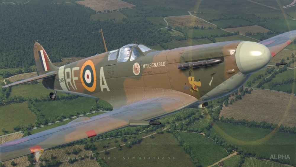 TFS Spit IIb FRA Dog Plane.jpg